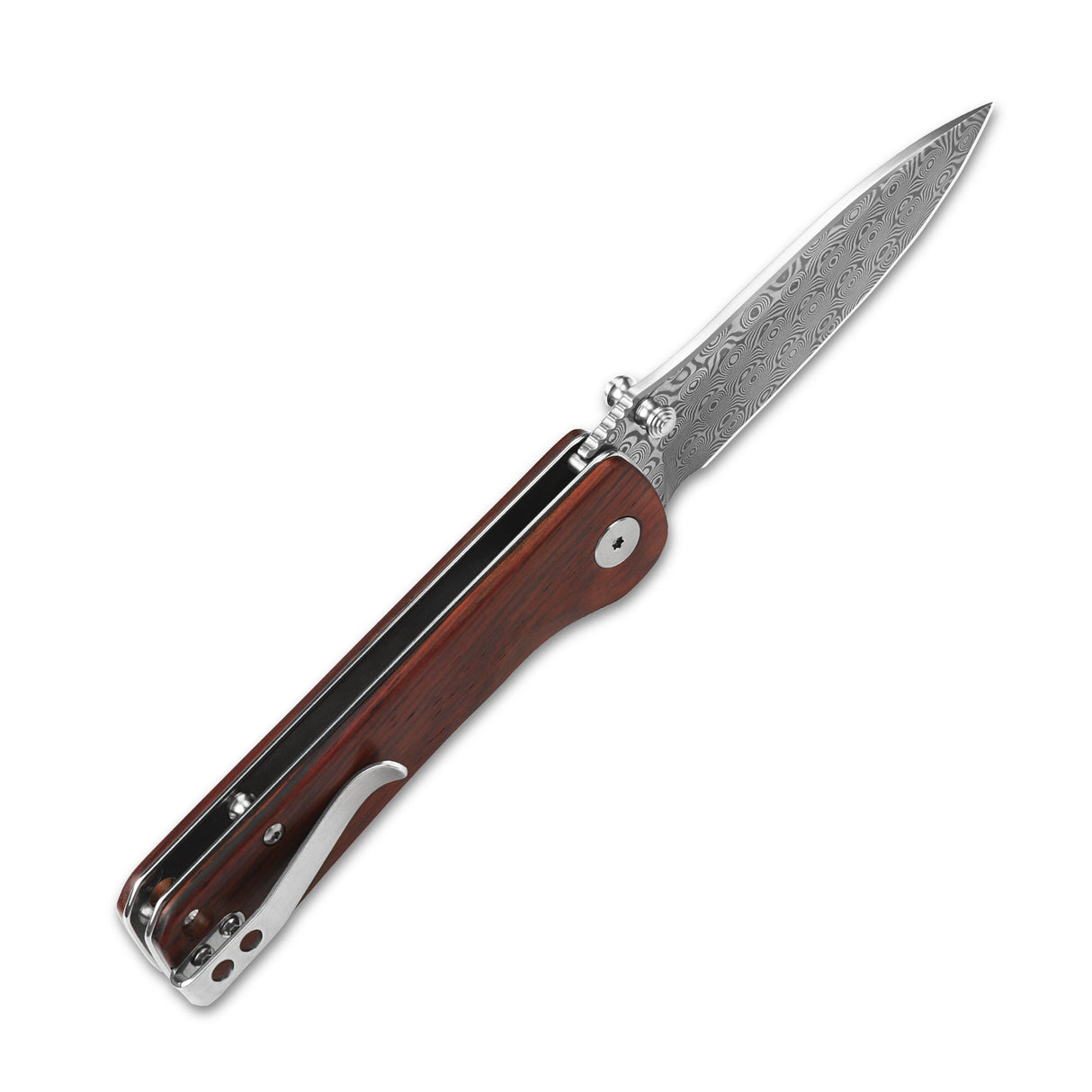 QSP Hawk Liner Lock pocket knife with laminated Damascus blade and Cocobolo handle
