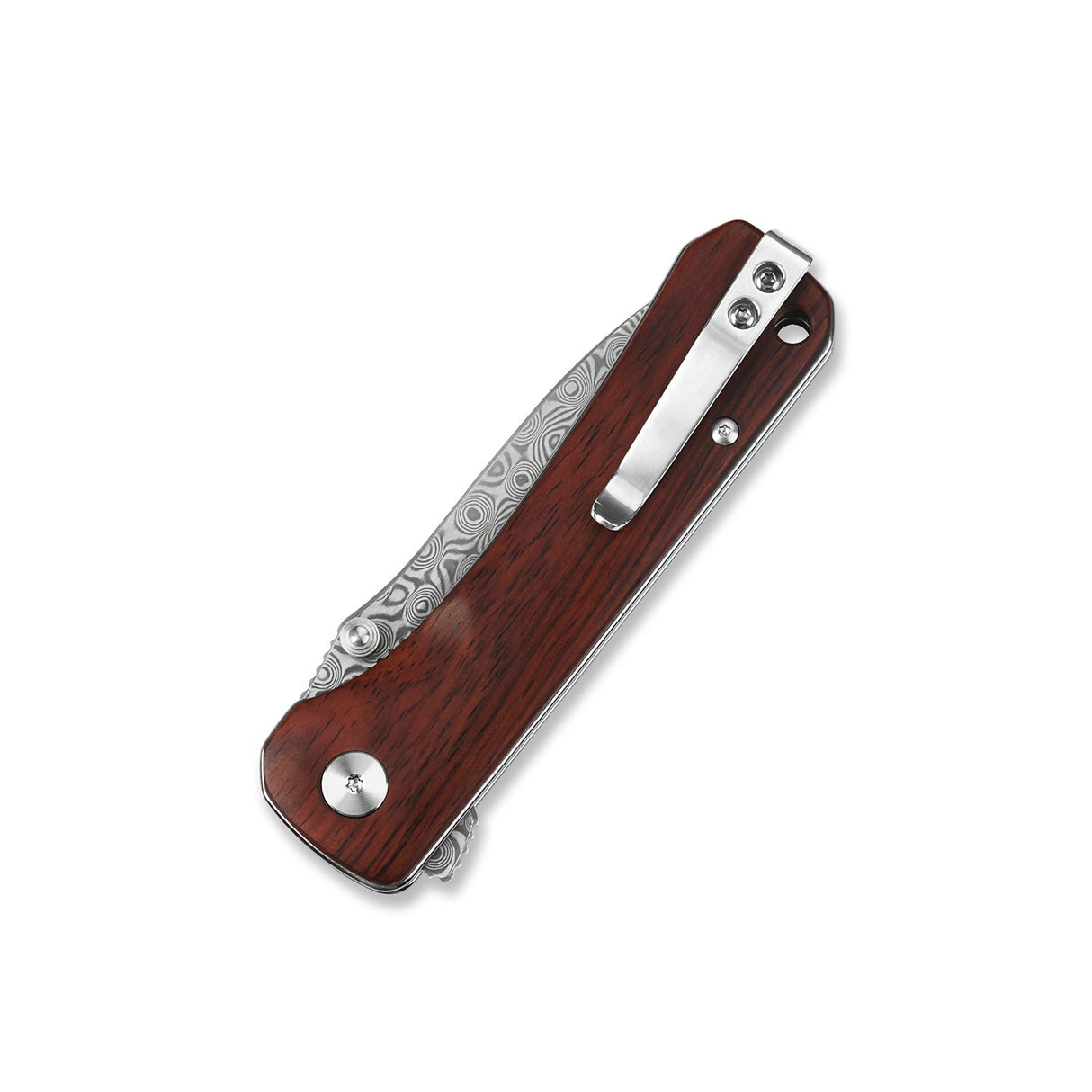 QSP Hawk pocket knife with laminated Damascus blade and Cocobolo handle