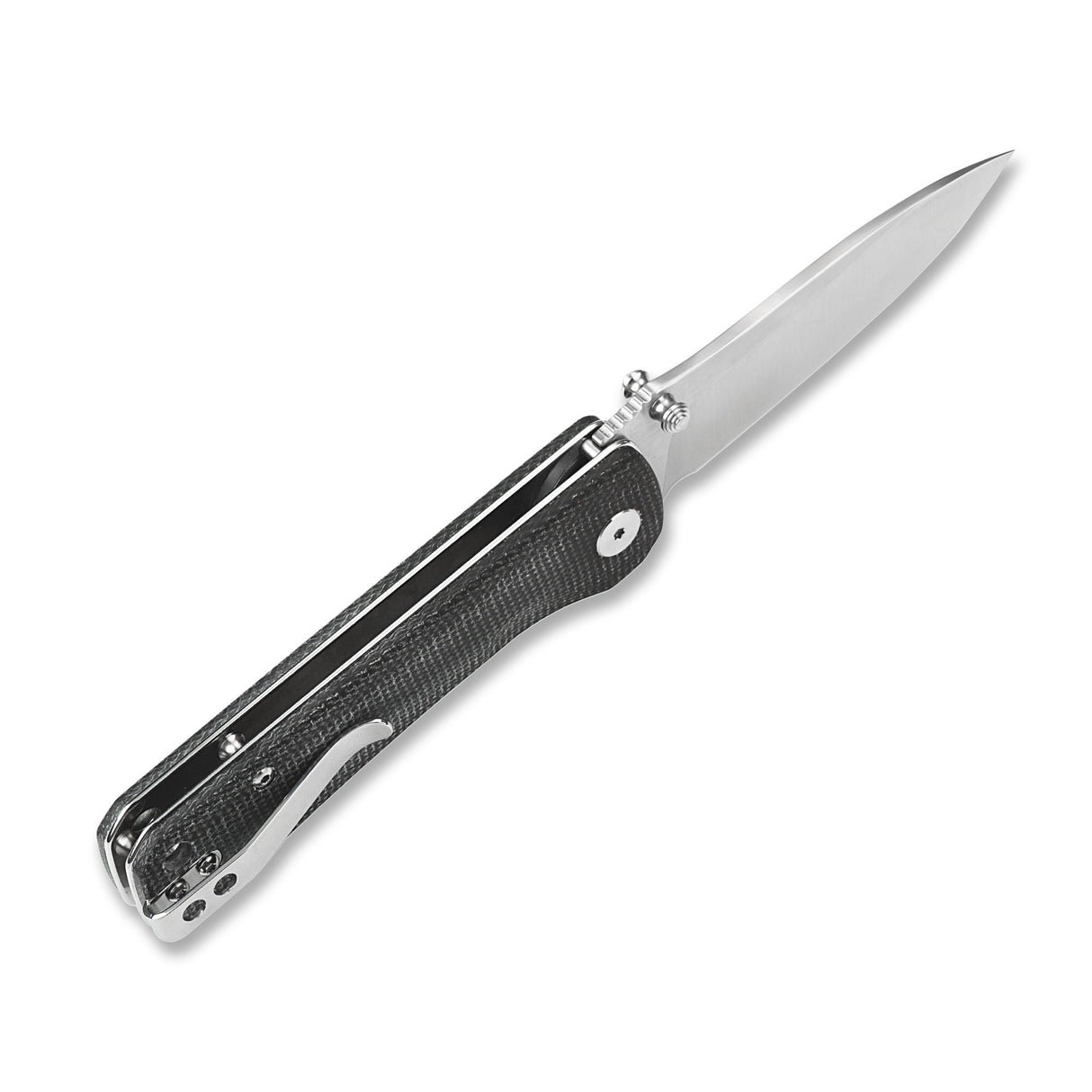 QSP Hawk pocket knife with polished stainless steel blade and black micarta handle