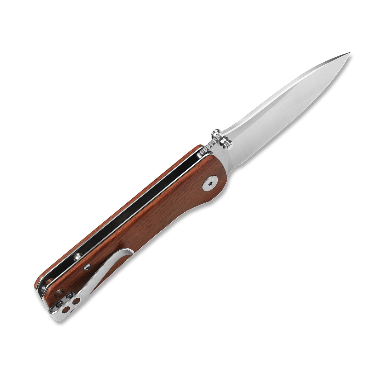 QSP Hawk pocket knife with drop point blade and Mkuruti wood handle