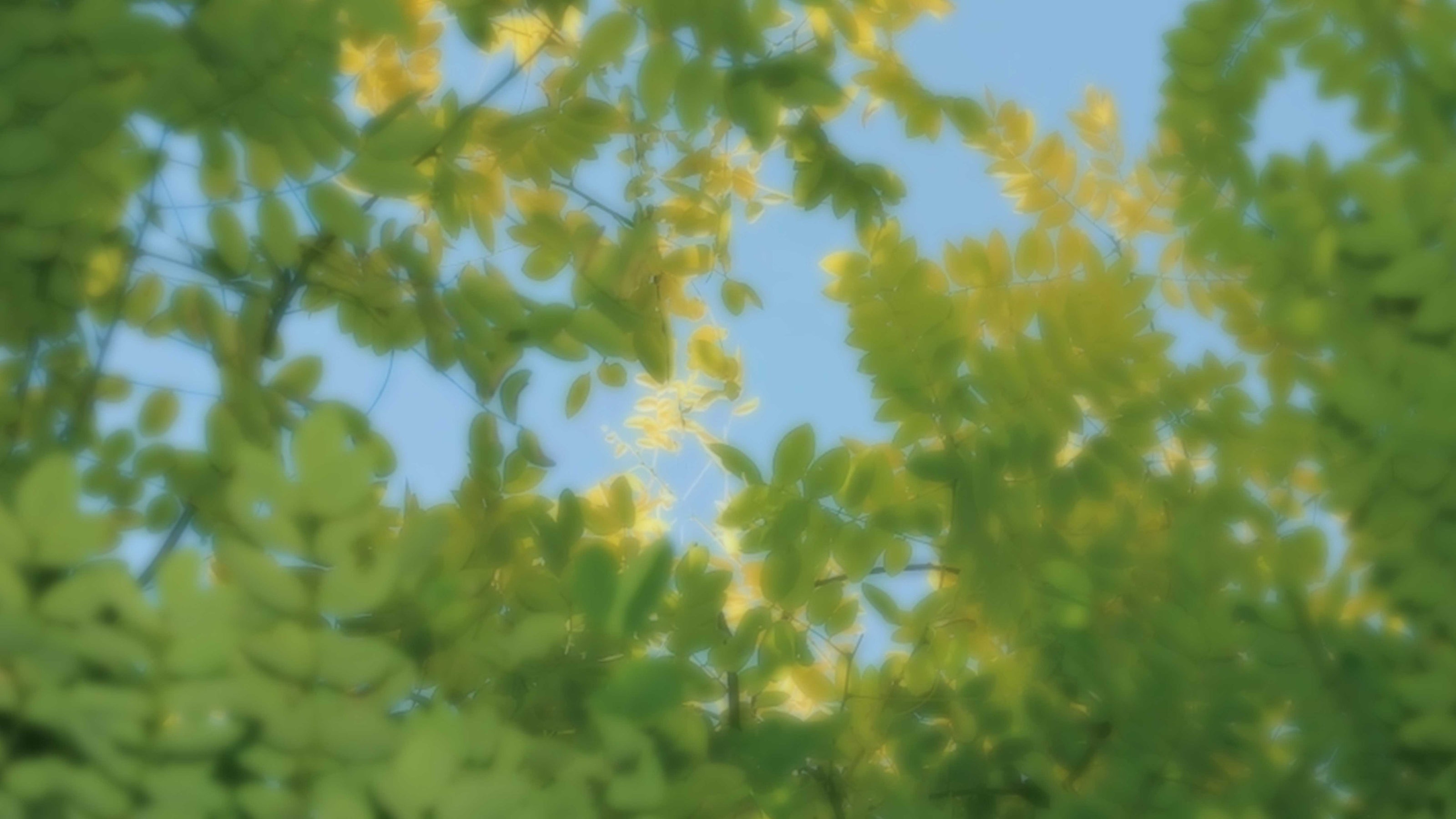 Flash Sales Page 2 QSP KNIFE