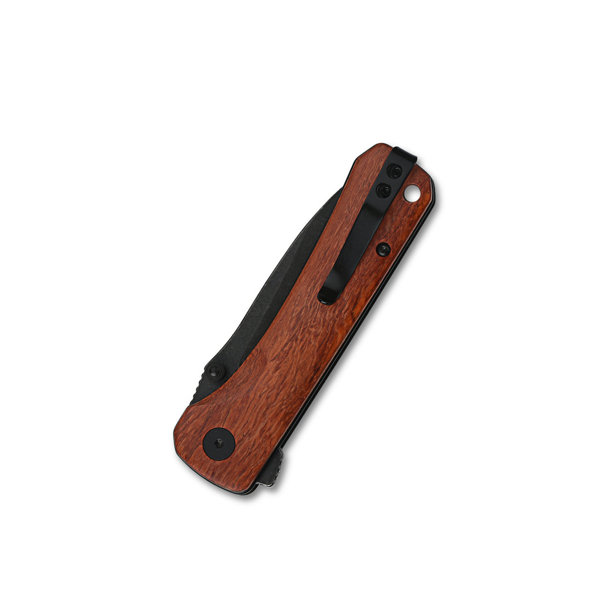 Closed QSP Hawk pocket knife with Mkuruti wood handle and stainless steel clip